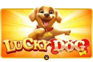 6677